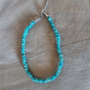 Torquiose necklace